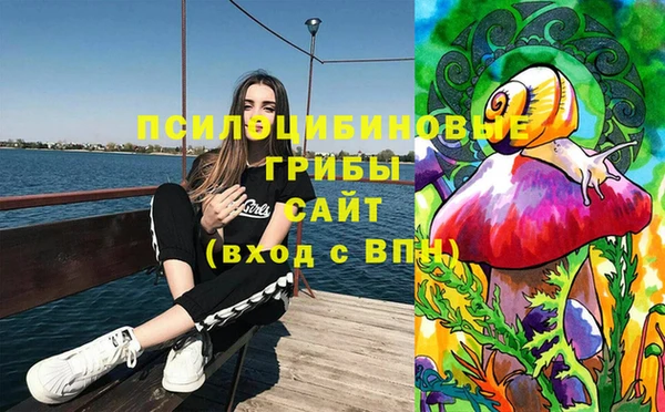 кокс Ельня