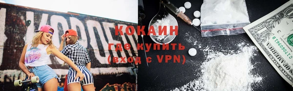 кокс Ельня