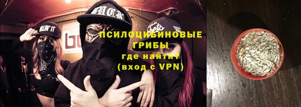 кокс Ельня