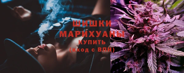 бошки Елизово